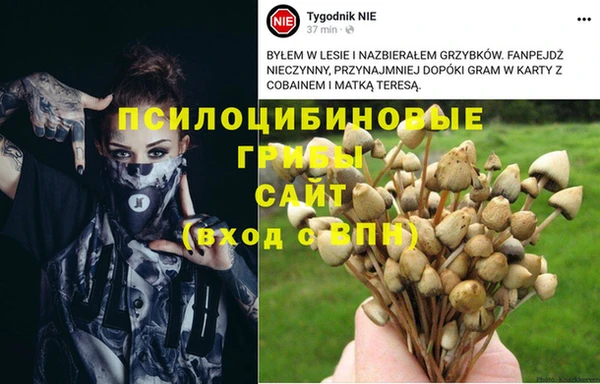 соль курить ск Надым