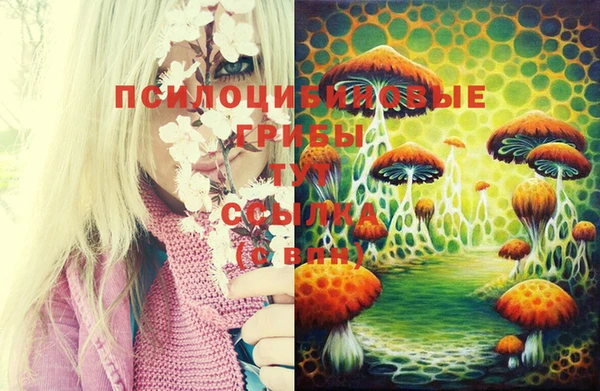 дурь Михайловск