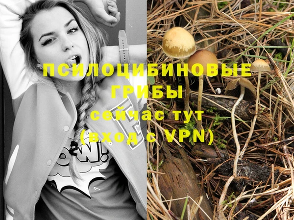 дурь Михайловск