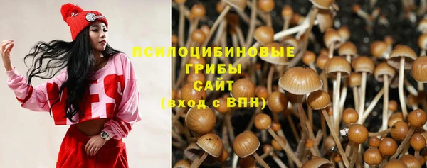 дурь Михайловск