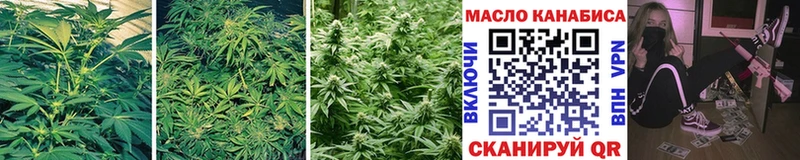 blacksprut Партизанск Дистиллят ТГК THC oil