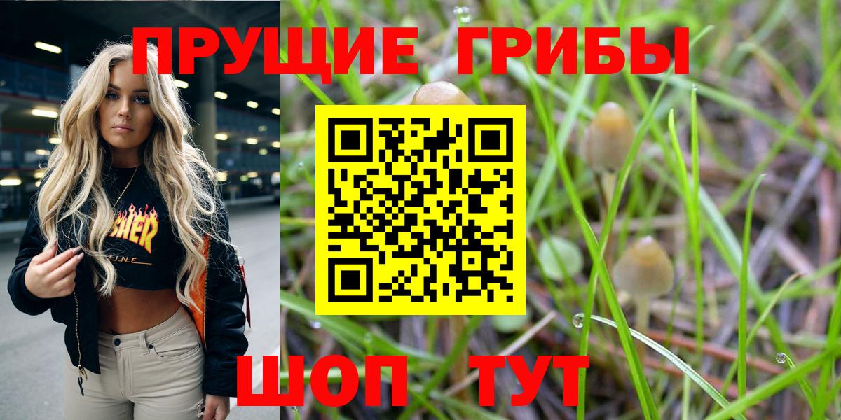 Псилоцибиновые грибы MAGIC MUSHROOMS  Вход с VPN  Партизанск  Псилоцибиновые грибы Psilocybine cubensis 