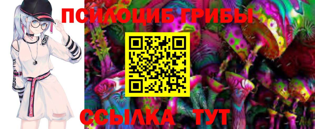 Галлюциногенные грибы прущие грибы Партизанск